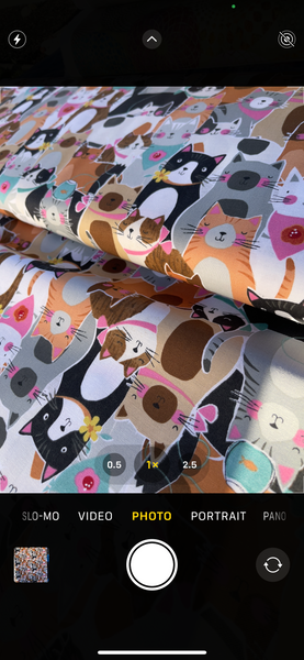 Card Holder RFID Protected - Cat Fabric